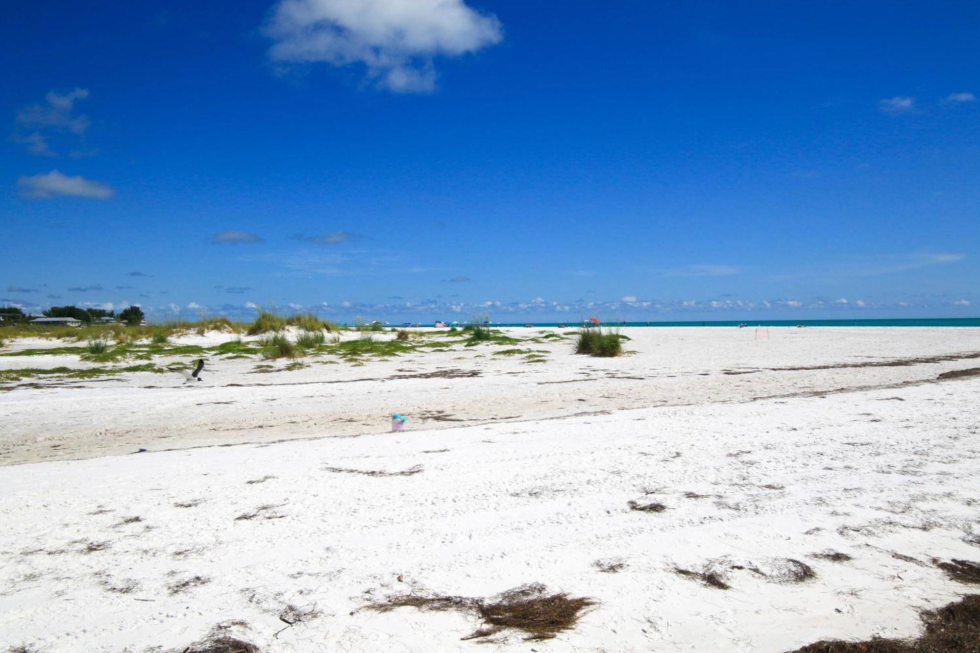 Anna Maria Island Runaway Tropical Dream-One Minute Walk To The Beach-Heated Pool Bradenton Beach Eksteriør bilde