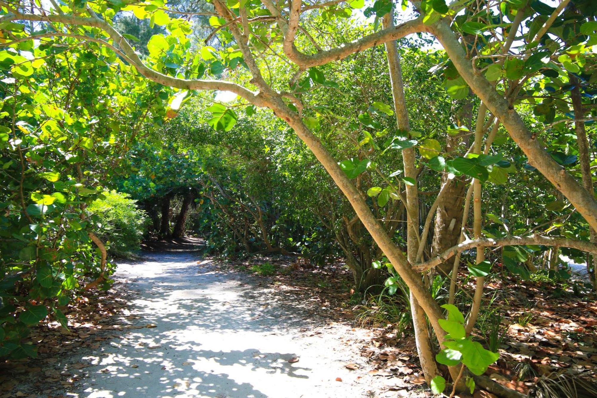 Anna Maria Island Runaway Tropical Dream-One Minute Walk To The Beach-Heated Pool Bradenton Beach Eksteriør bilde